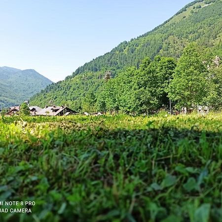 Appartamento Spazioso Con Terrazzo Di Proprieta Limone Piemonte Exterior foto